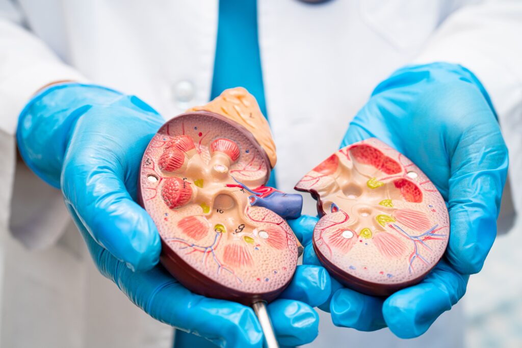 stem cell therapy for kidney disease and failure