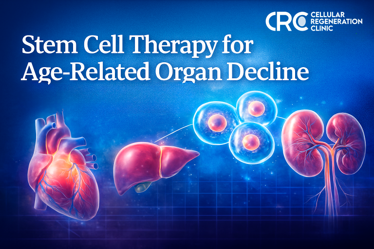 Regenerative stem cell therapy for aging organs – heart, liver, kidney